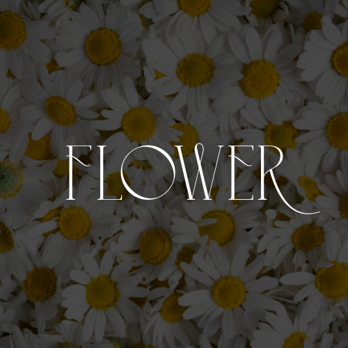 연제 연산 노래방 가라오케 - 오빠야~ 오늘 신규 왔데이~