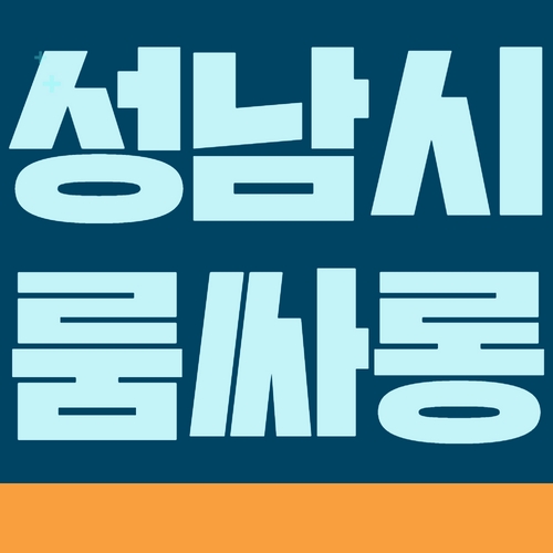 성남시 룸싸롱