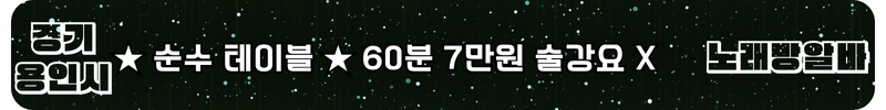 용인시 노래방알바