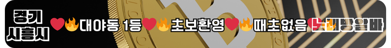 시흥시 노래방알바