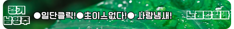 남양주시 노래방알바