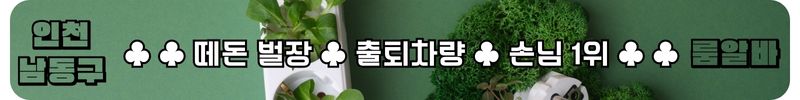 남동구 룸알바