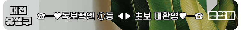 유성구 룸알바