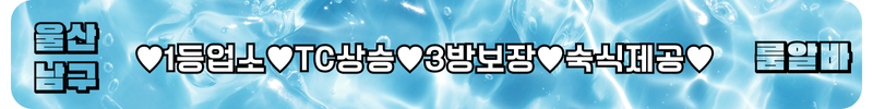 울산 남구 룸알바